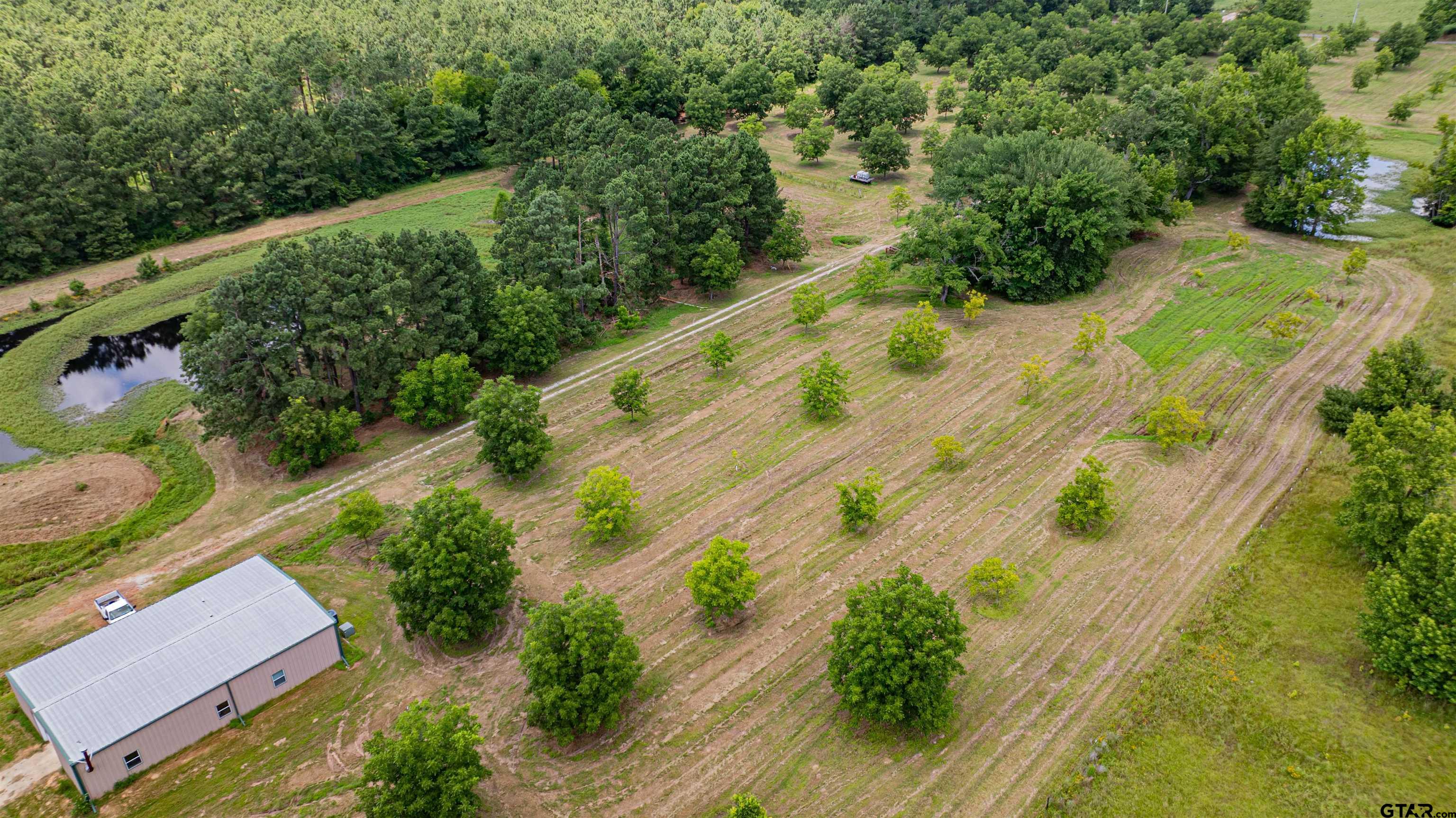 4510 Cr 2010 Mount Mount Vernon, TX 75457 - Photo 35 of 44 a view of a yard with plants and large trees