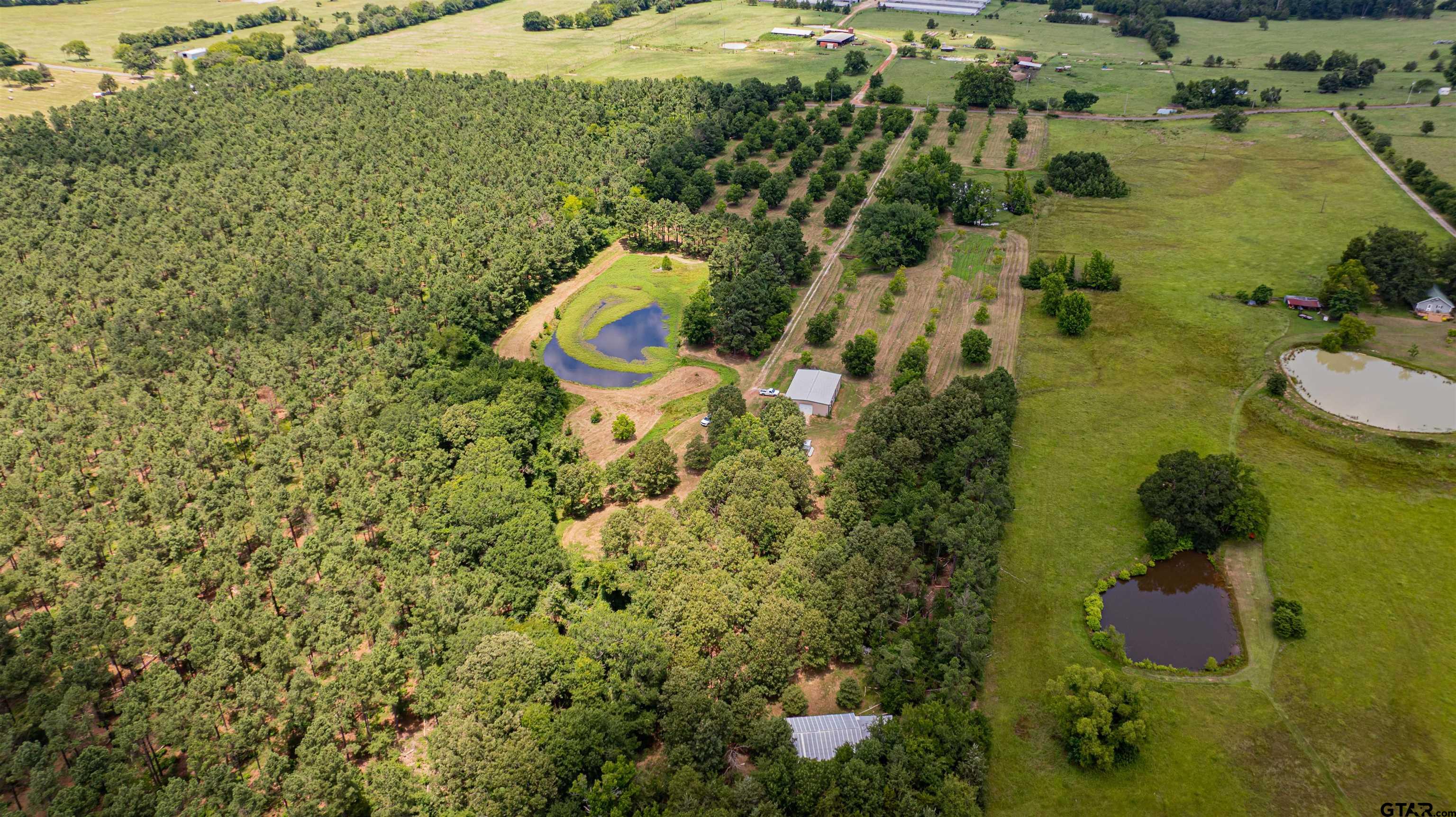 4510 Cr 2010 Mount Mount Vernon, TX 75457 - Photo 36 of 44