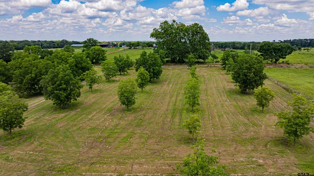 an aerial view of a residential houses with outdoor space