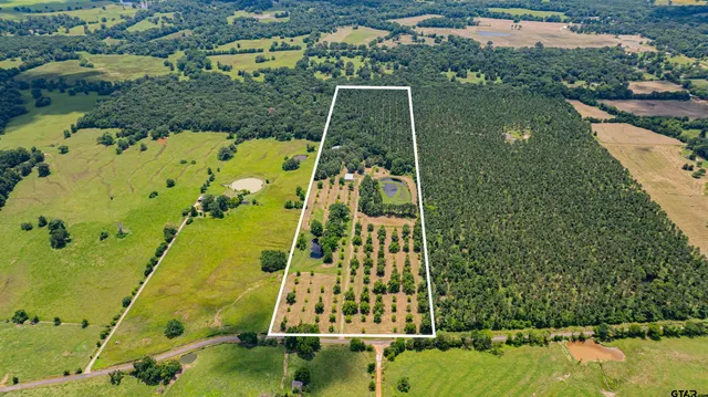 $399,000 | 4510 Cr 2010 Mount, Mount Vernon, TX 75457