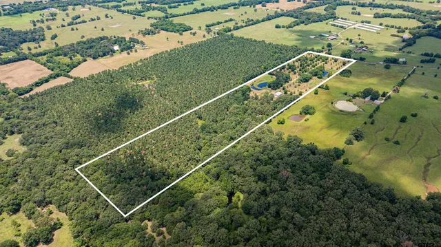 $399,000 | 4510 Cr 2010 Mount, Mount Vernon, TX 75457