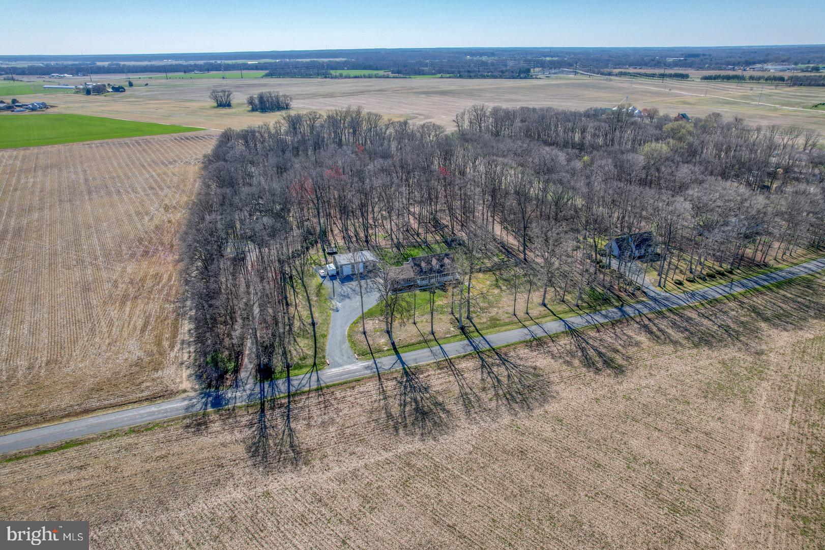 516 High Bridge Road Millington, MD 21651 - Photo 5 of 52 Property is partially open yard & part woods