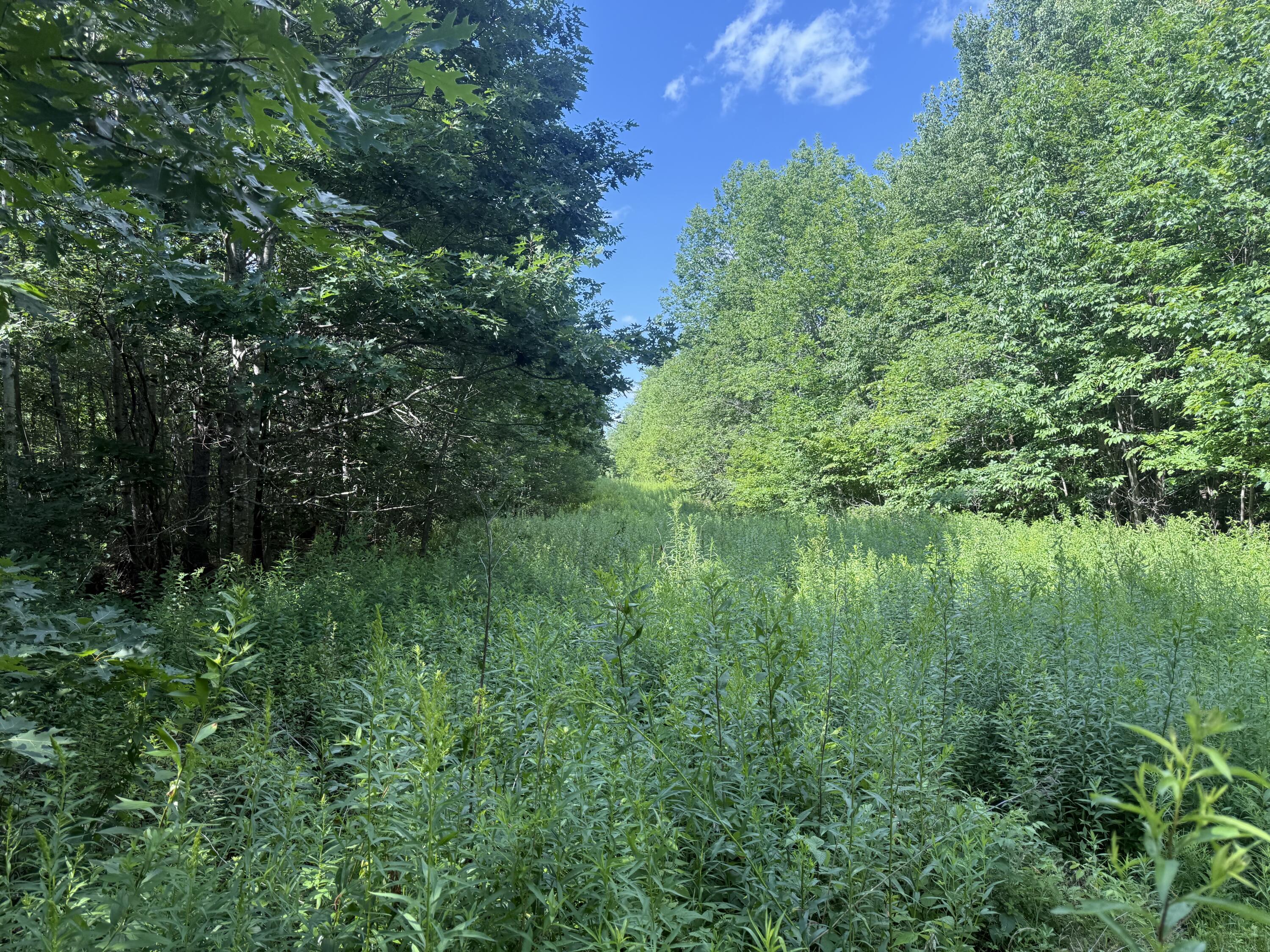 5 Black Road South Searsport, ME 04974 - Photo 9 of 13 IMG_5033