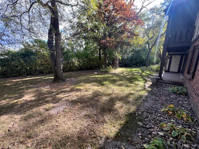 a view of a yard with large trees