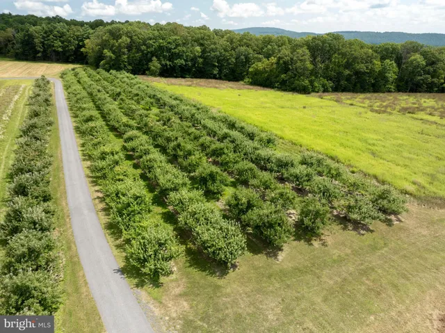 $1,650,000 | 1494 Mountain Road, Orrtanna, PA 17353