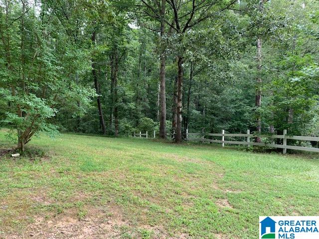 100 Clements Drive Oneonta, AL 35121 - Photo 5 of 8 Gallery Image 5