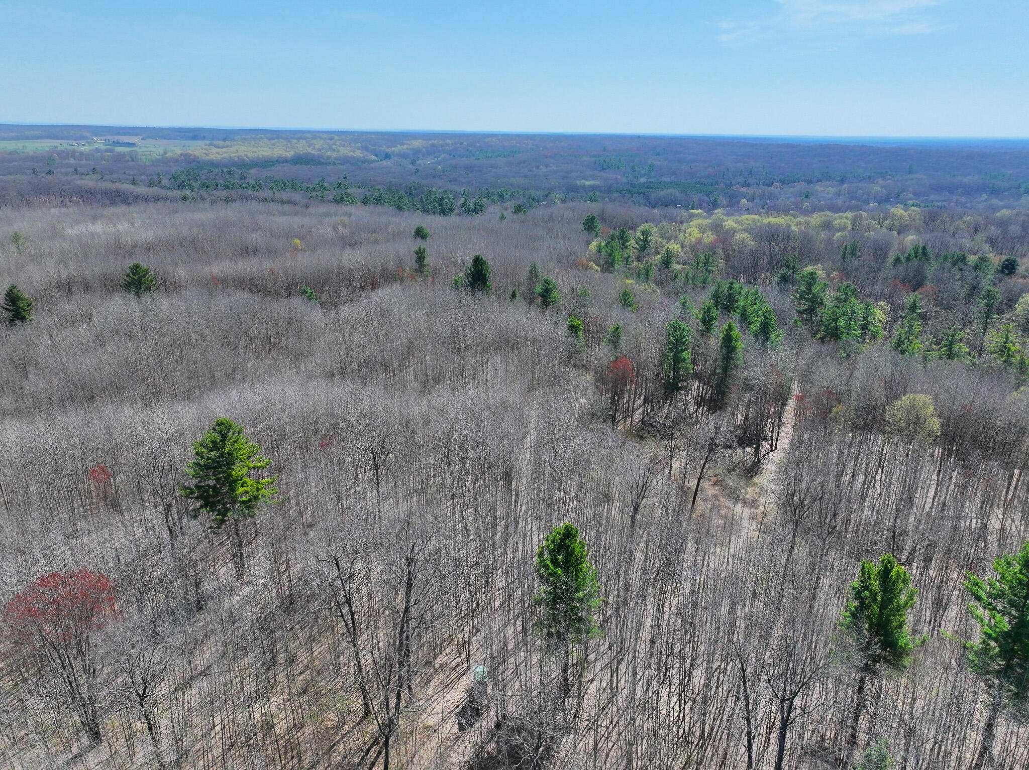 7415 East Anthony Road Branch, MI 49402 - Photo 56 of 99 DJI_20260416123551_0230_D