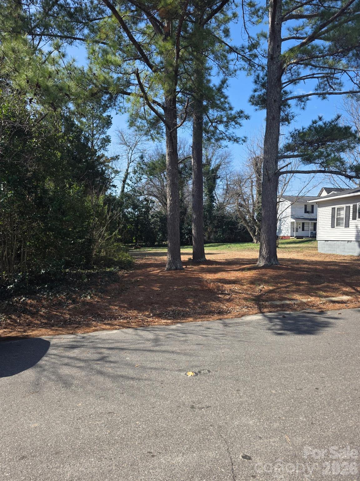 105 Culp Street Chester, SC 29706 - Photo 2 of 6 a view of outdoor space with deck and tree