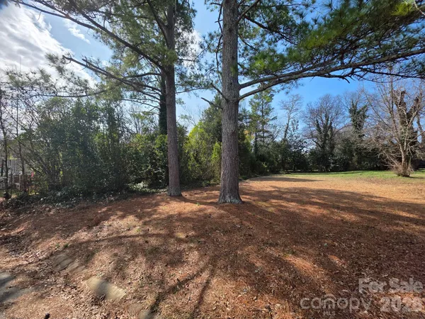 a view of backyard with green space