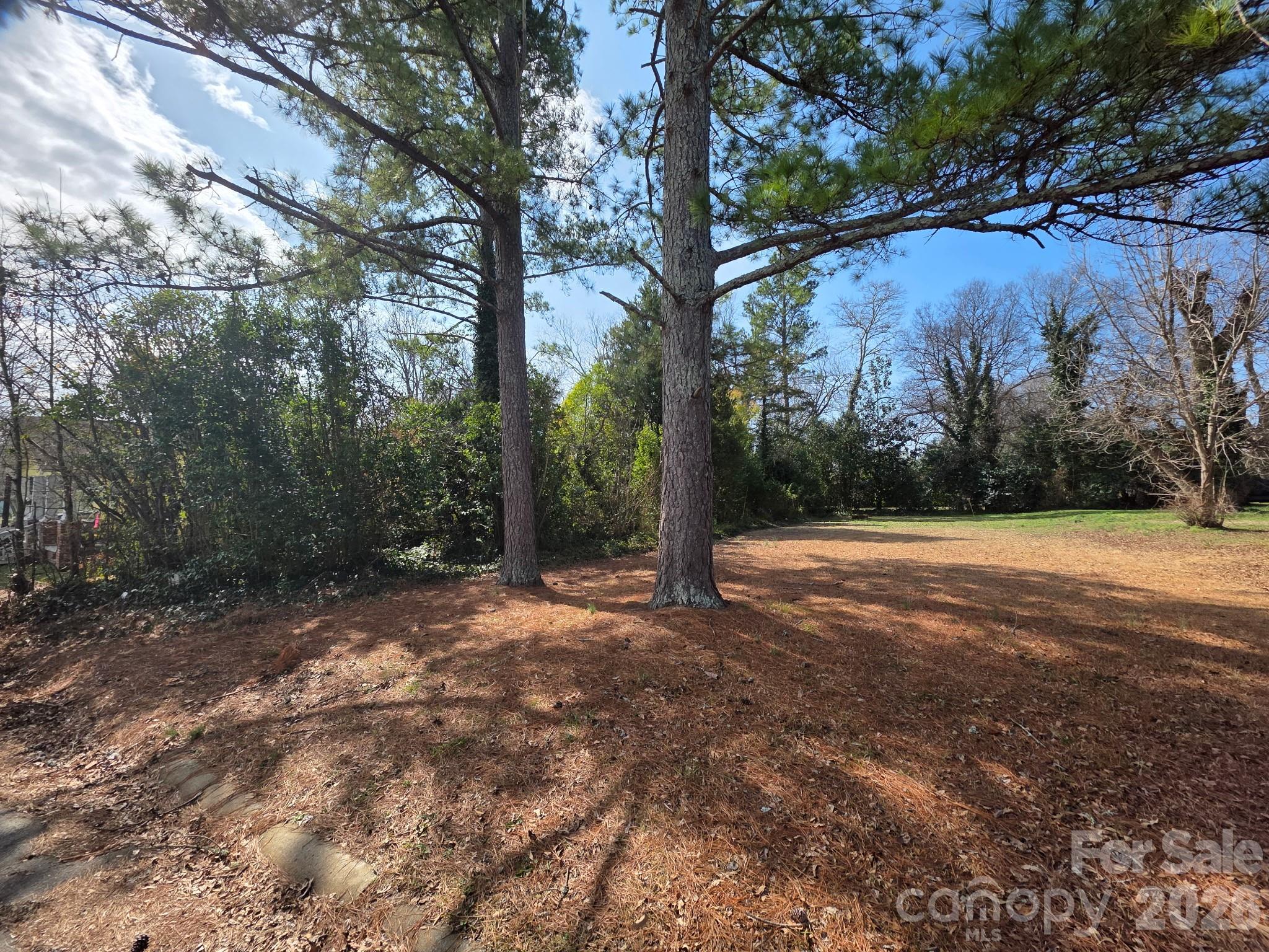 105 Culp Street Chester, SC 29706 - Photo 3 of 6 a view of backyard with green space