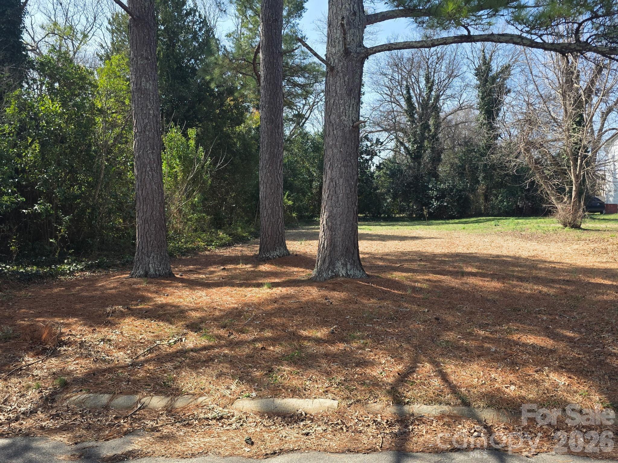 105 Culp Street Chester, SC 29706 - Photo 4 of 6 a view of a yard with a tree