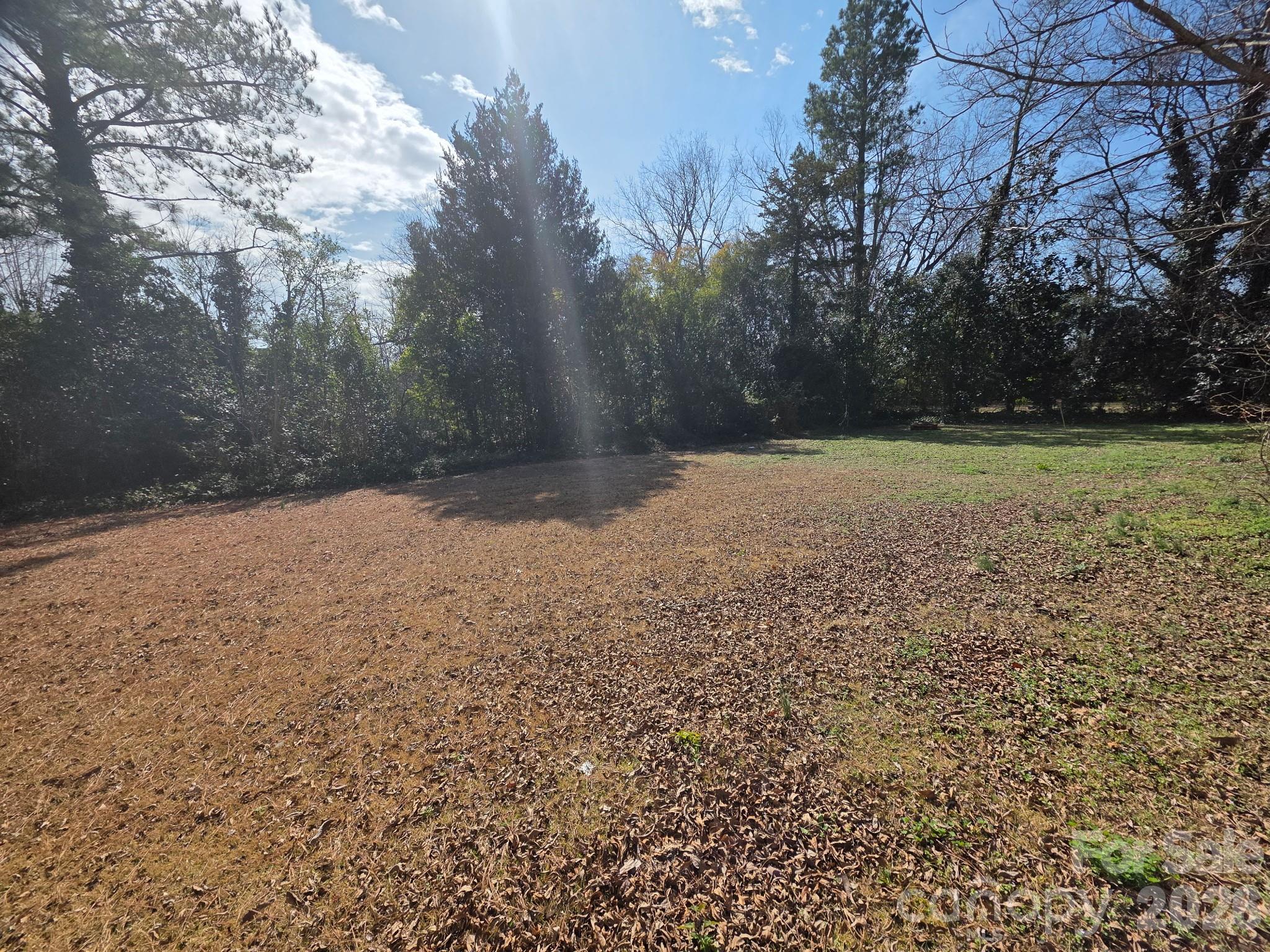 105 Culp Street Chester, SC 29706 - Photo 6 of 6 a view of a yard with a tree