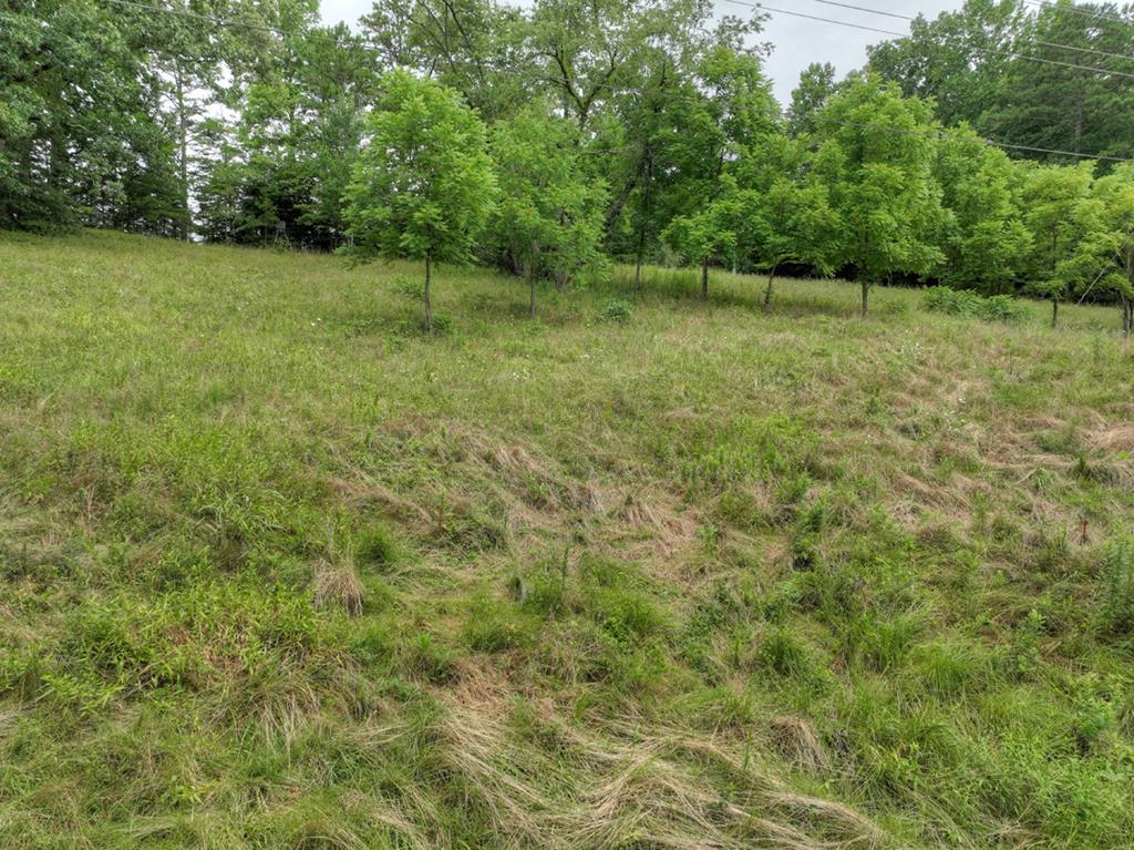 5171 Old Highway 76 Blue Ridge, GA 30513 - Photo 22 of 31 Gallery Image 22