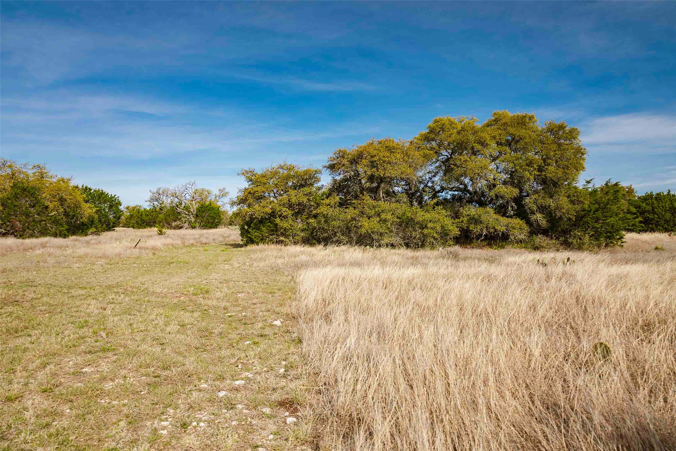 Tbd Saddle Ridge Drive Bertram, TX 78605 - Photo 18 of 40 View of local wilderness with rural landscape