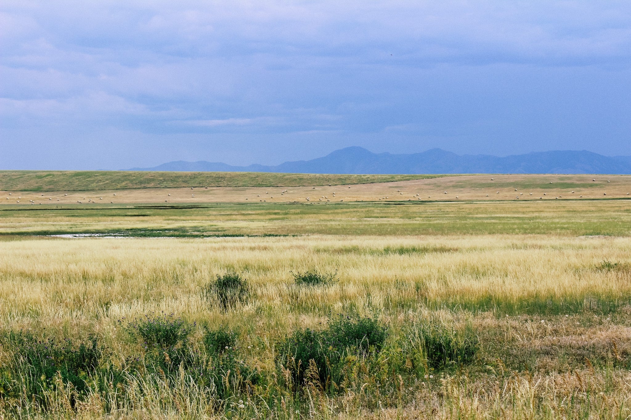 Little Little Muddy Creek Ranch Cascade, MT 59421 - Photo 27 of 41 Gallery Image 27