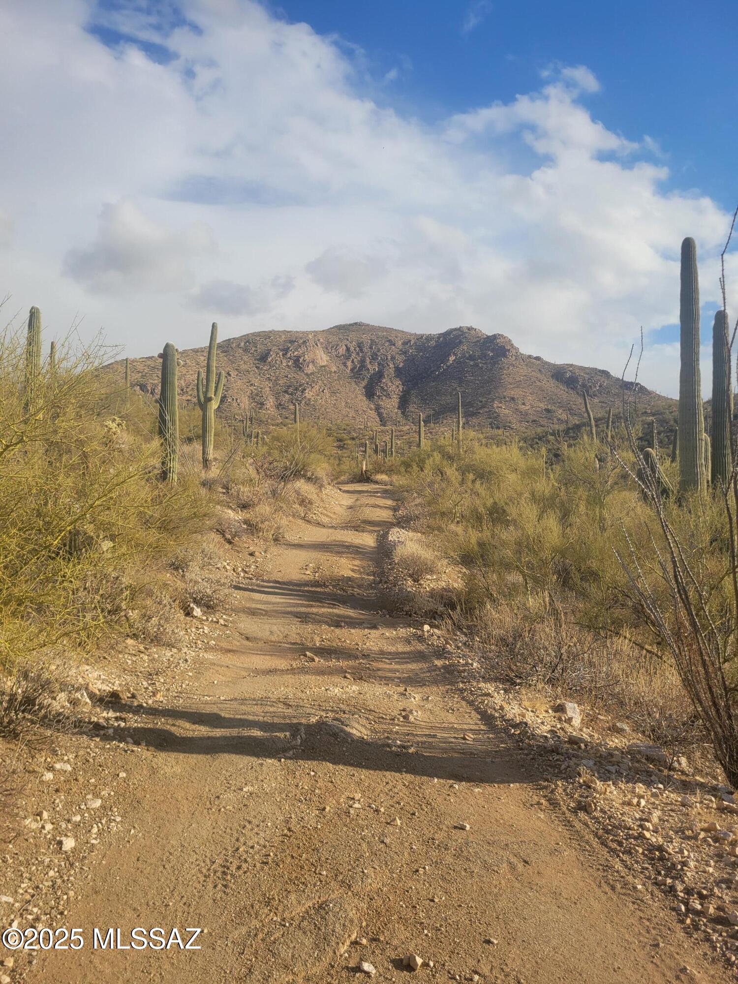 Tbd South McQueen Ranch Road Marana, AZ 85658 - Photo 5 of 16