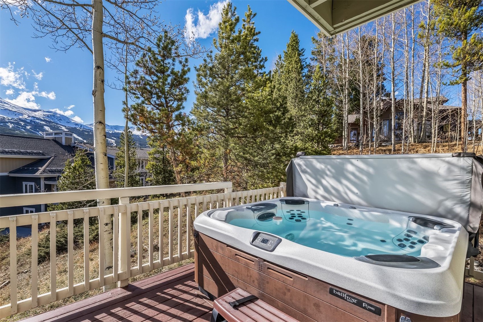 113 Powder Ridge Drive Breckenridge, CO 80424 - Photo 11 of 38