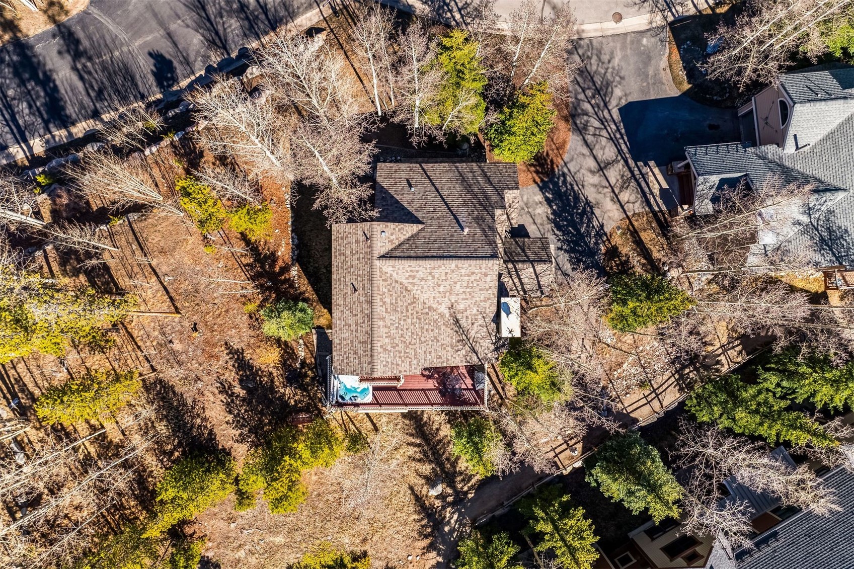 113 Powder Ridge Drive Breckenridge, CO 80424 - Photo 35 of 38