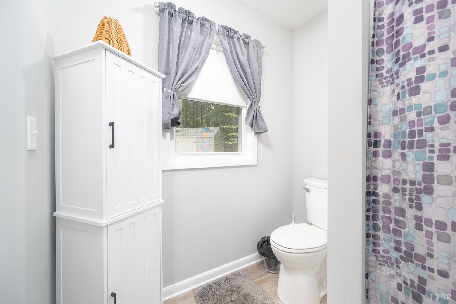 905 Gap Bridge Road Moneta, VA 24121 - Photo 23 of 48 a white toilet sitting next to a bathroom sink