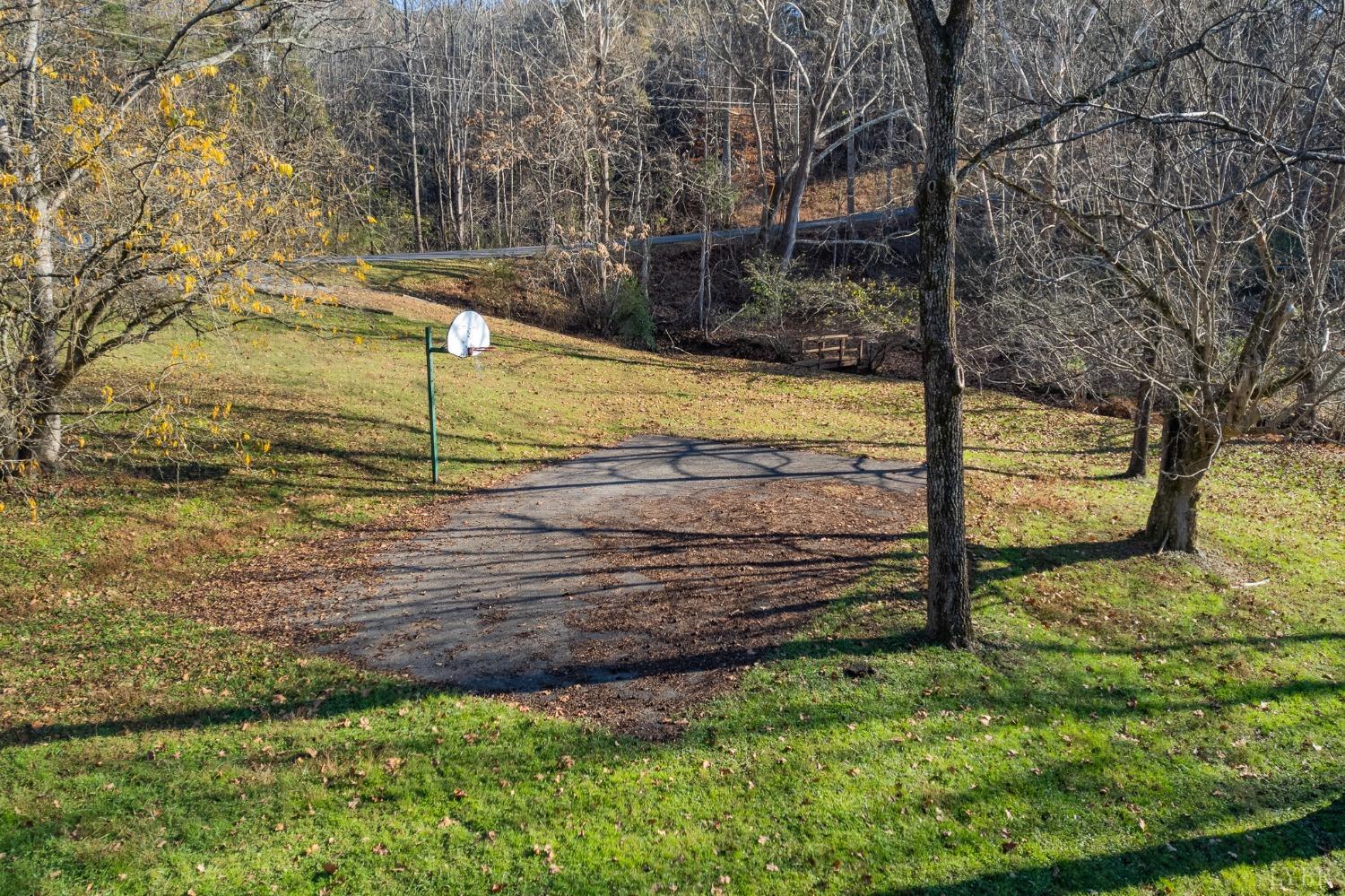 905 Gap Bridge Road Moneta, VA 24121 - Photo 41 of 48 a view of a backyard with large trees