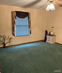 616 West Salcedo Road Sikeston, MO 63801 - Photo 10 of 14