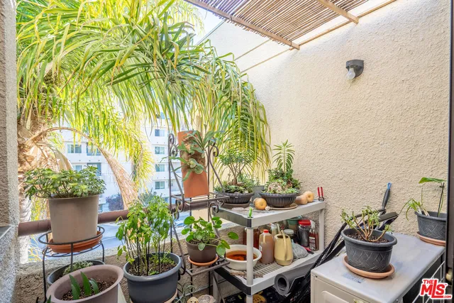 a view of a dining room with furniture and potted plants
