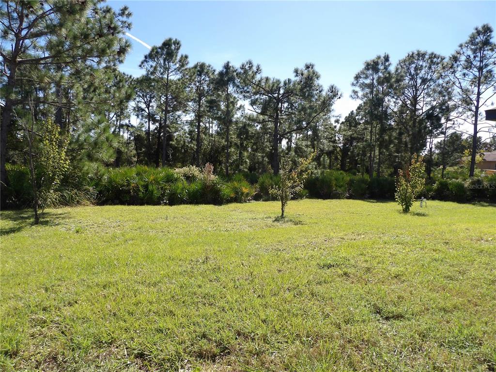 7653 Minardi Street North Port, FL 34291 - Photo 18 of 20 a view of a field with trees