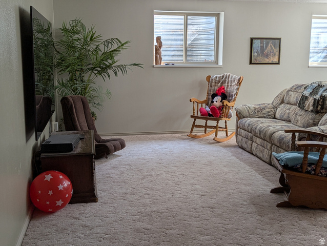 1040 West Mill Road Ferron, UT 84523 - Photo 49 of 117 Light-colored carpeting throughout, white wall paint, and two windows with blinds