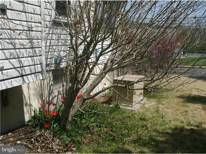 213 Easton Road Riegelsville, PA 18077 - Photo 16 of 17