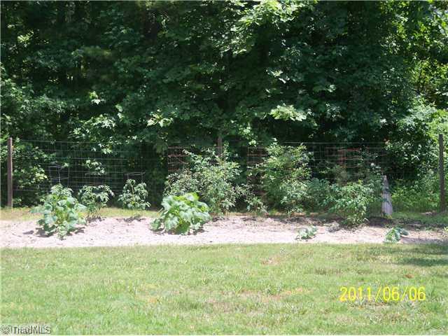2131 Chestnut St Extension High Point, NC 27262 - Photo 15 of 16 Yard/Garden.