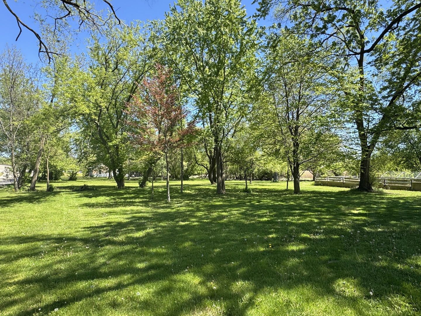 931 South Rawson Bridge Road Cary, IL 60013 - Photo 24 of 36 a big yard with trees