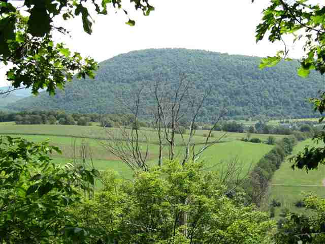 217 Kiff Brook Road Kortright, NY 13739 - Photo 10 of 12 Photo 10