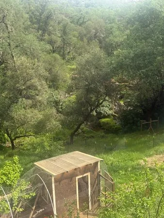 $549,900 | 1215 Spring Crest Court, Placerville, CA 95667