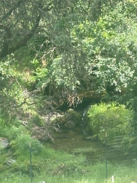 1215 Spring Crest Court Placerville, CA 95667 - Photo 20 of 61