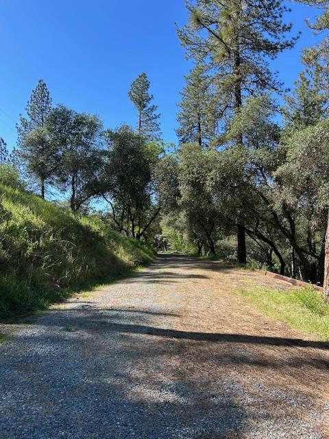 1215 Spring Crest Court Placerville, CA 95667 - Photo 35 of 61