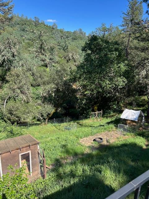 1215 Spring Crest Court Placerville, CA 95667 - Photo 55 of 61