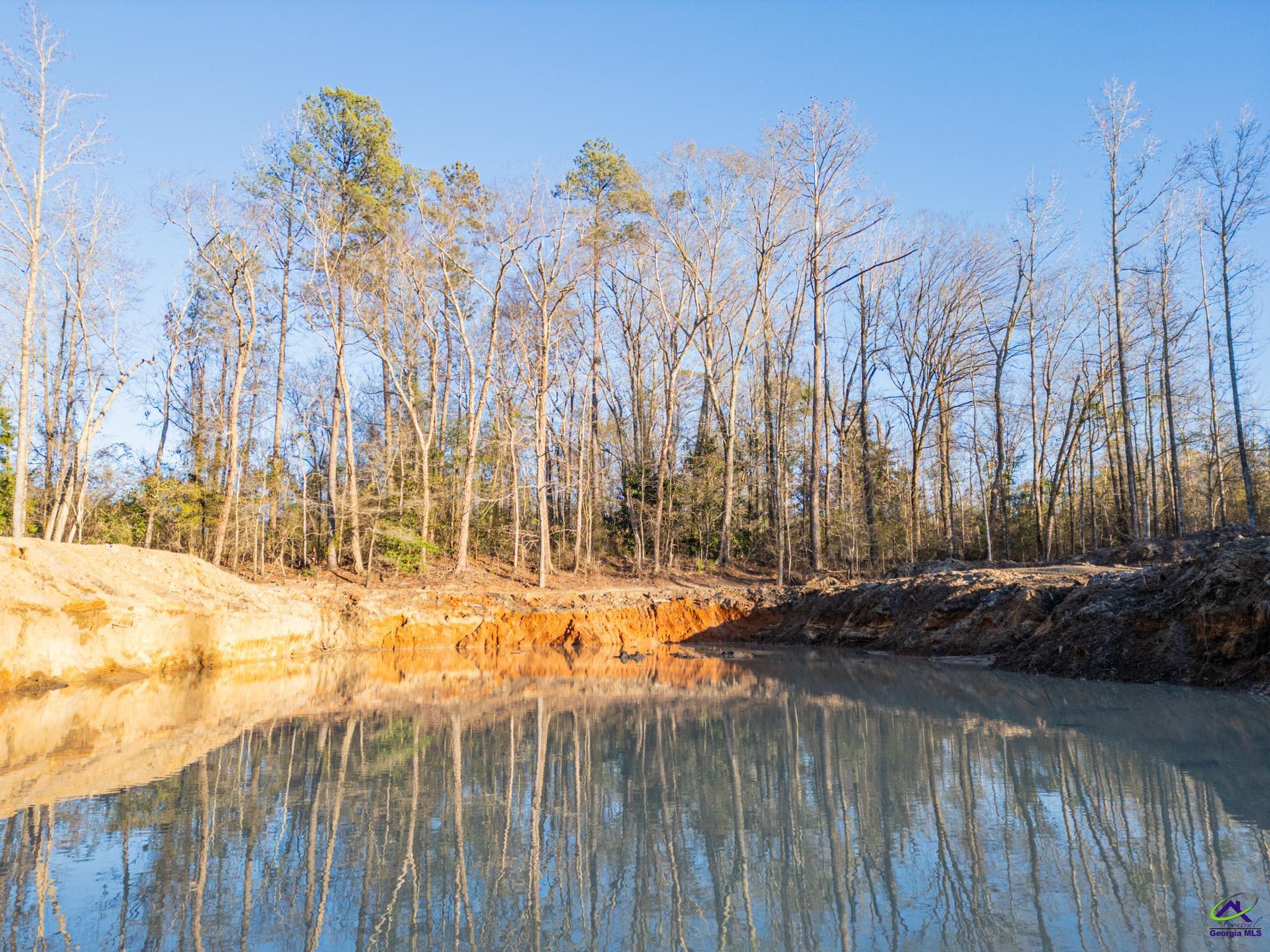 9036 Bullard Road Dry Branch, GA 31020 - Photo 61 of 72