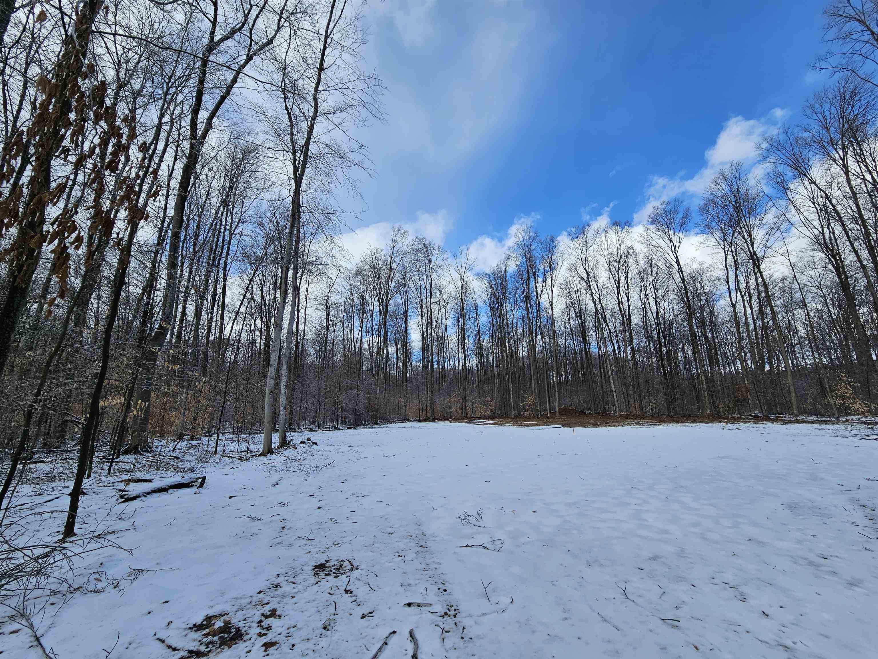 361 West Rhoby Road Lake City, MI 49651 - Photo 9 of 13 Gallery Image 9