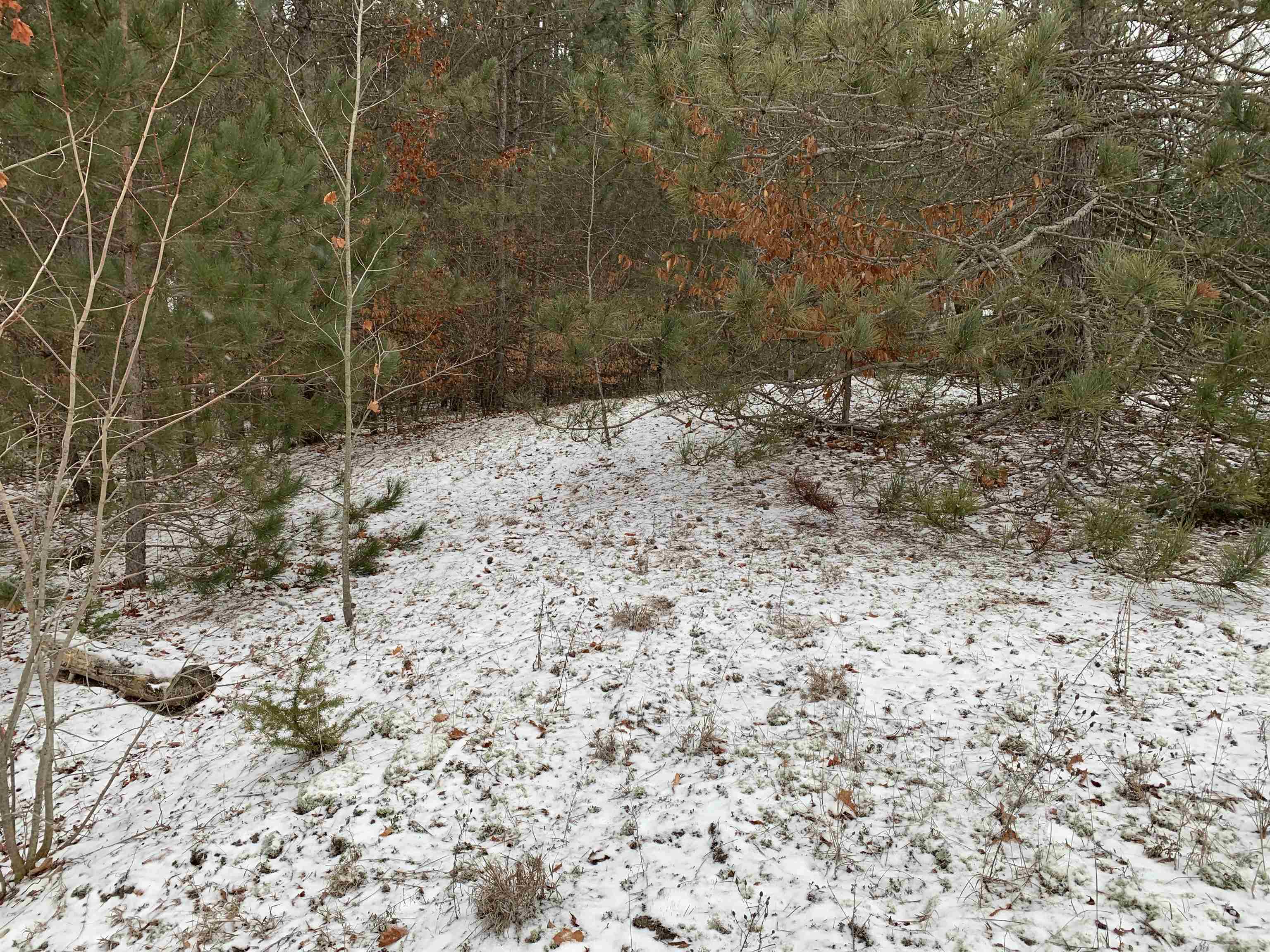 0 South 15 1/2 Road Boon, MI 49618 - Photo 6 of 11