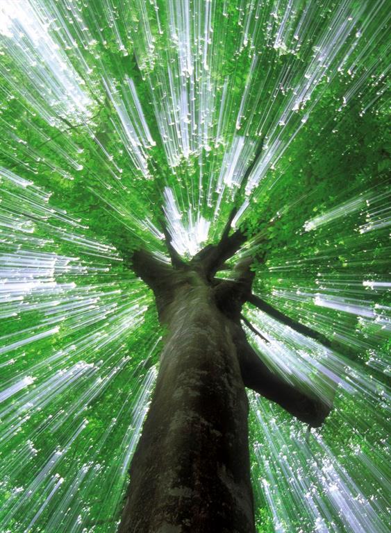 0 9th Street Covington, LA 70433 - Photo 1 of 3