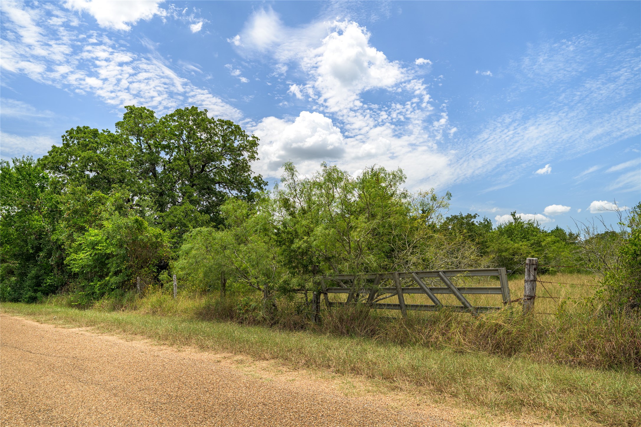 Tbd Roy Road Flatonia, TX 78941 - Photo 12 of 12