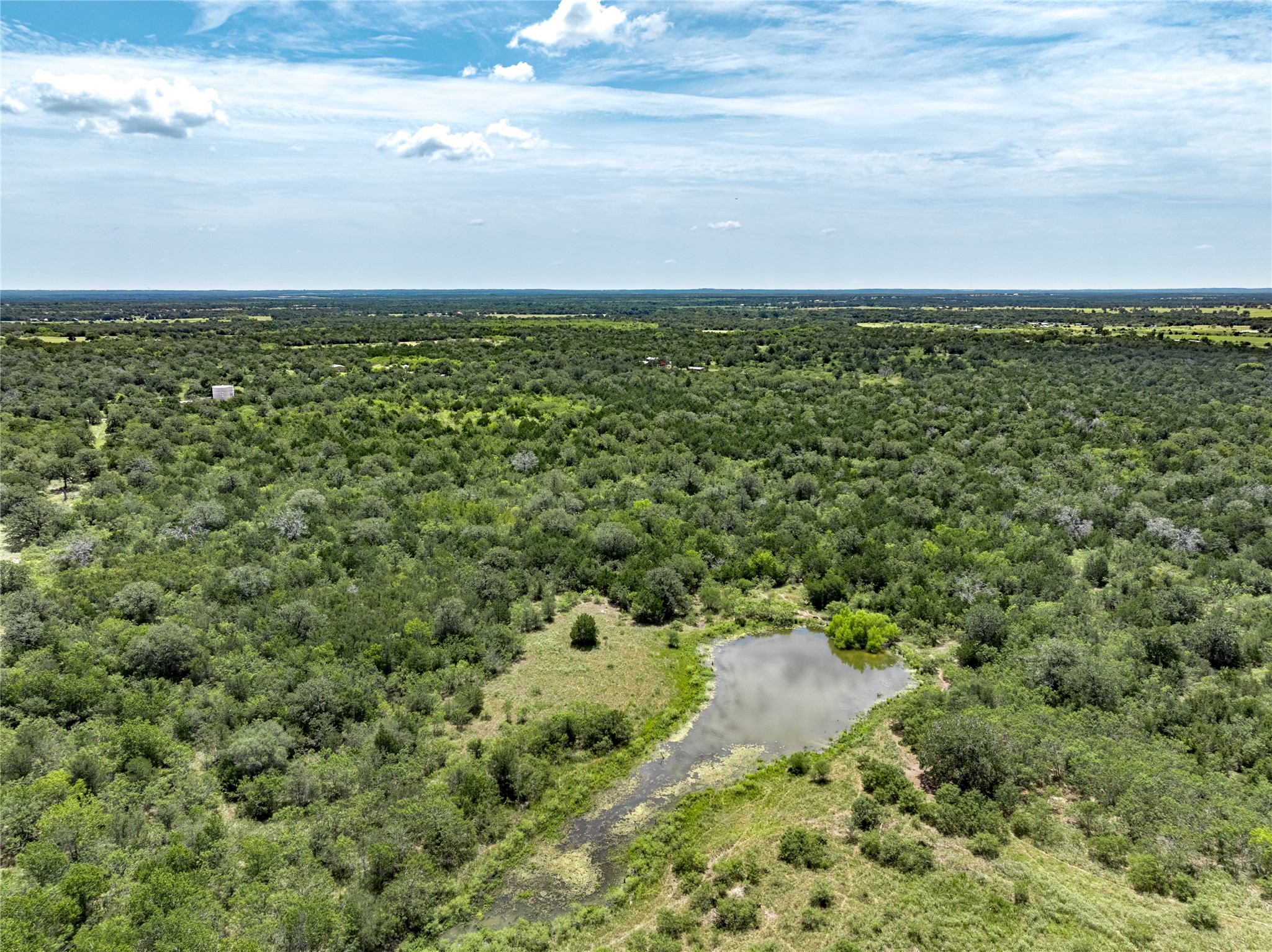 Tbd Roy Road Flatonia, TX 78941 - Photo 3 of 12