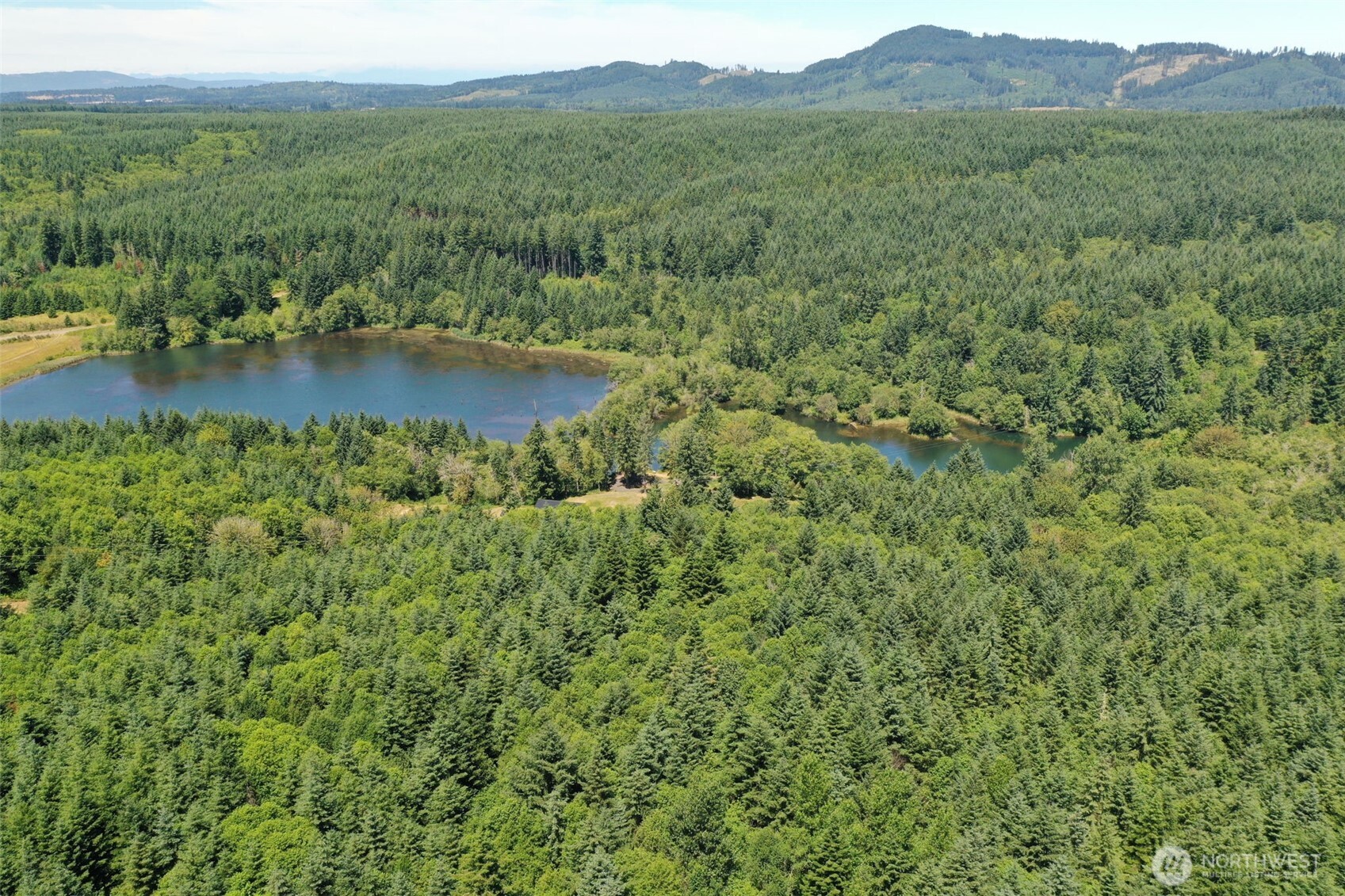 21500 Tono Road Southeast Centralia, WA 98531 - Photo 2 of 39