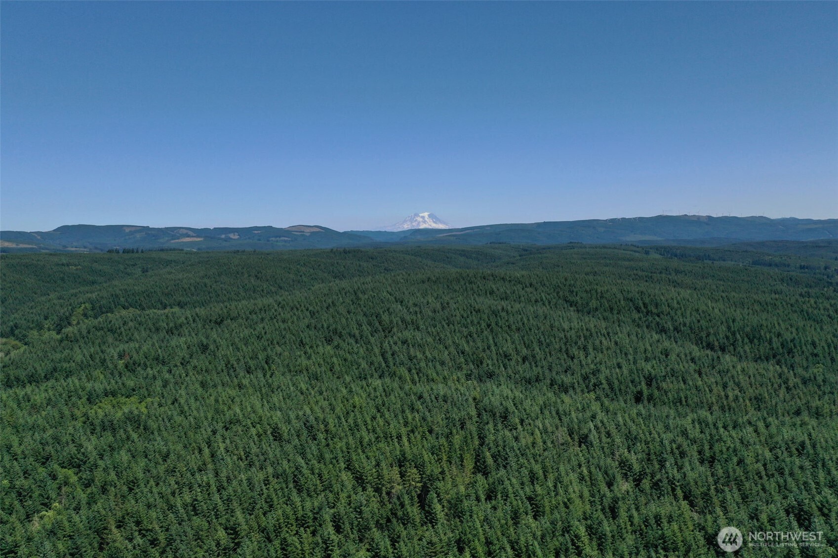 21500 Tono Road Southeast Centralia, WA 98531 - Photo 25 of 39