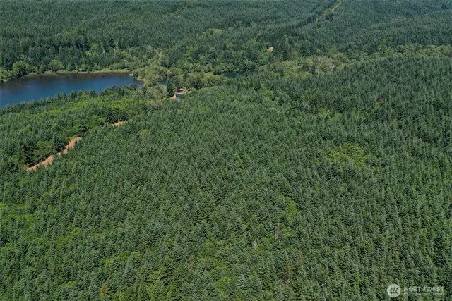 $725,000 | 21500 Tono Road Southeast, Centralia, WA 98531