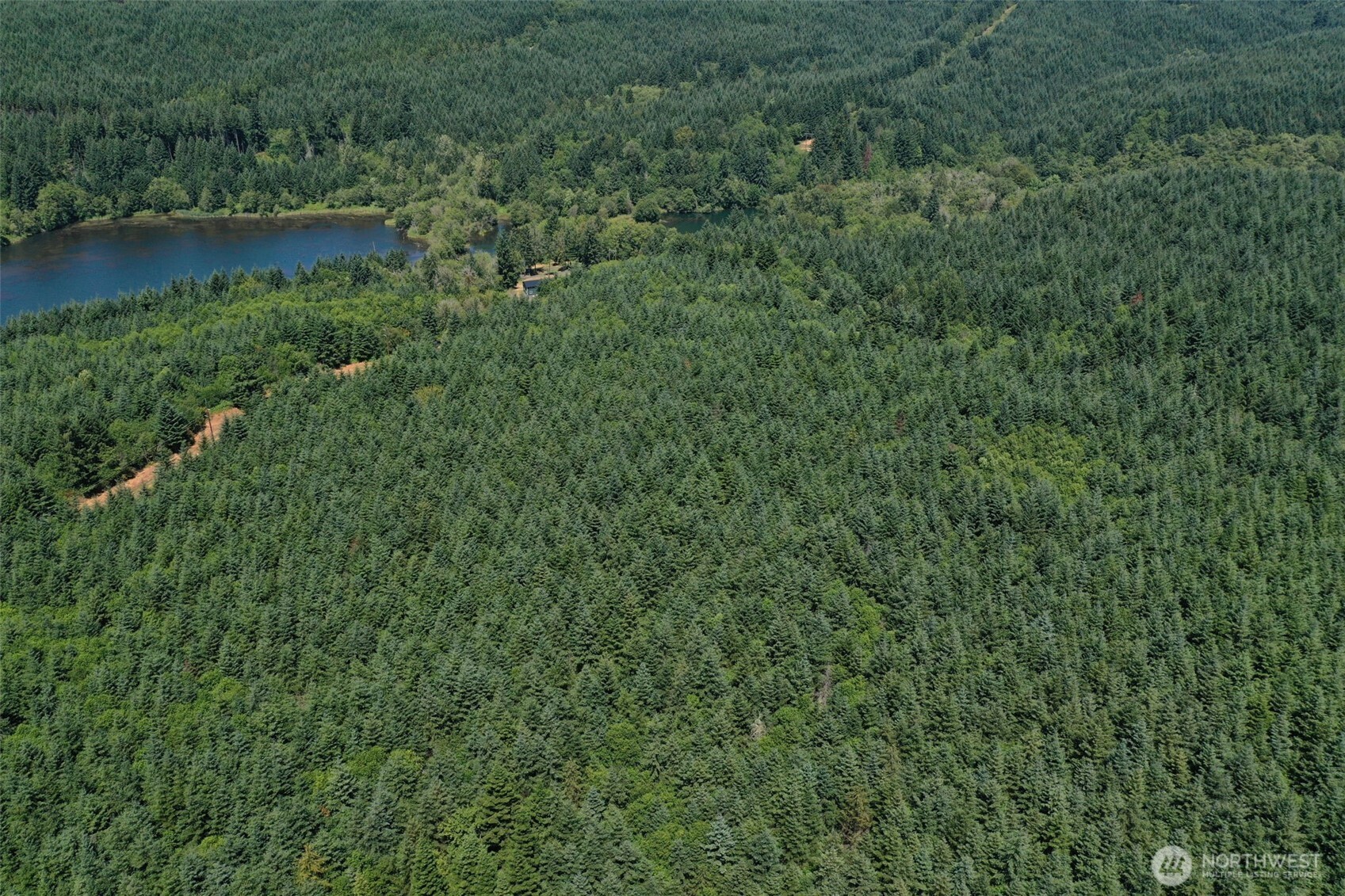 21500 Tono Road Southeast Centralia, WA 98531 - Photo 27 of 39