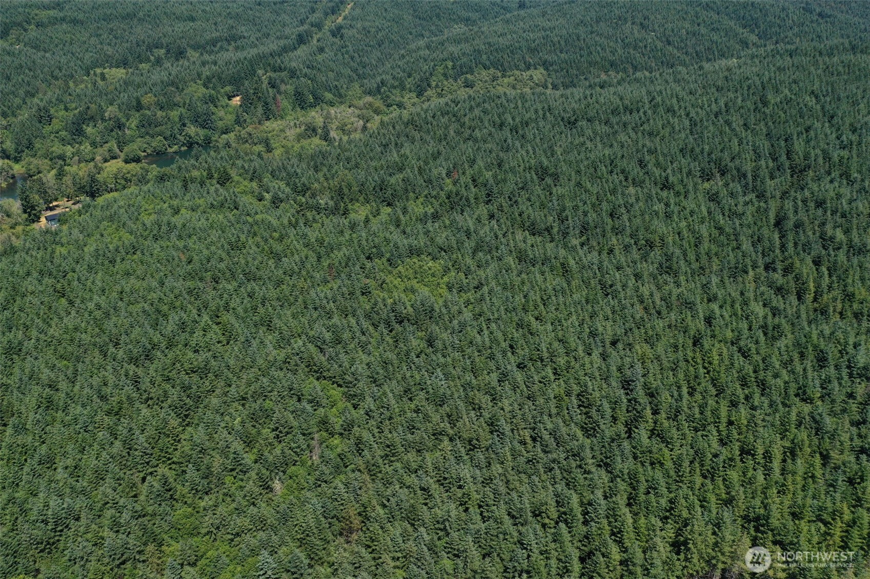 21500 Tono Road Southeast Centralia, WA 98531 - Photo 28 of 39