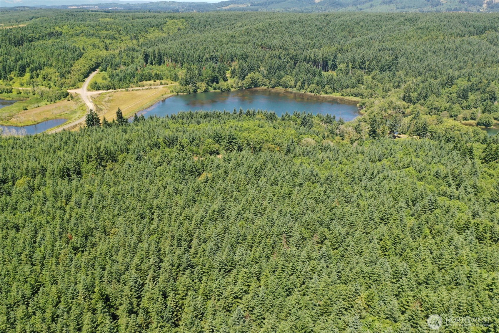 21500 Tono Road Southeast Centralia, WA 98531 - Photo 3 of 39