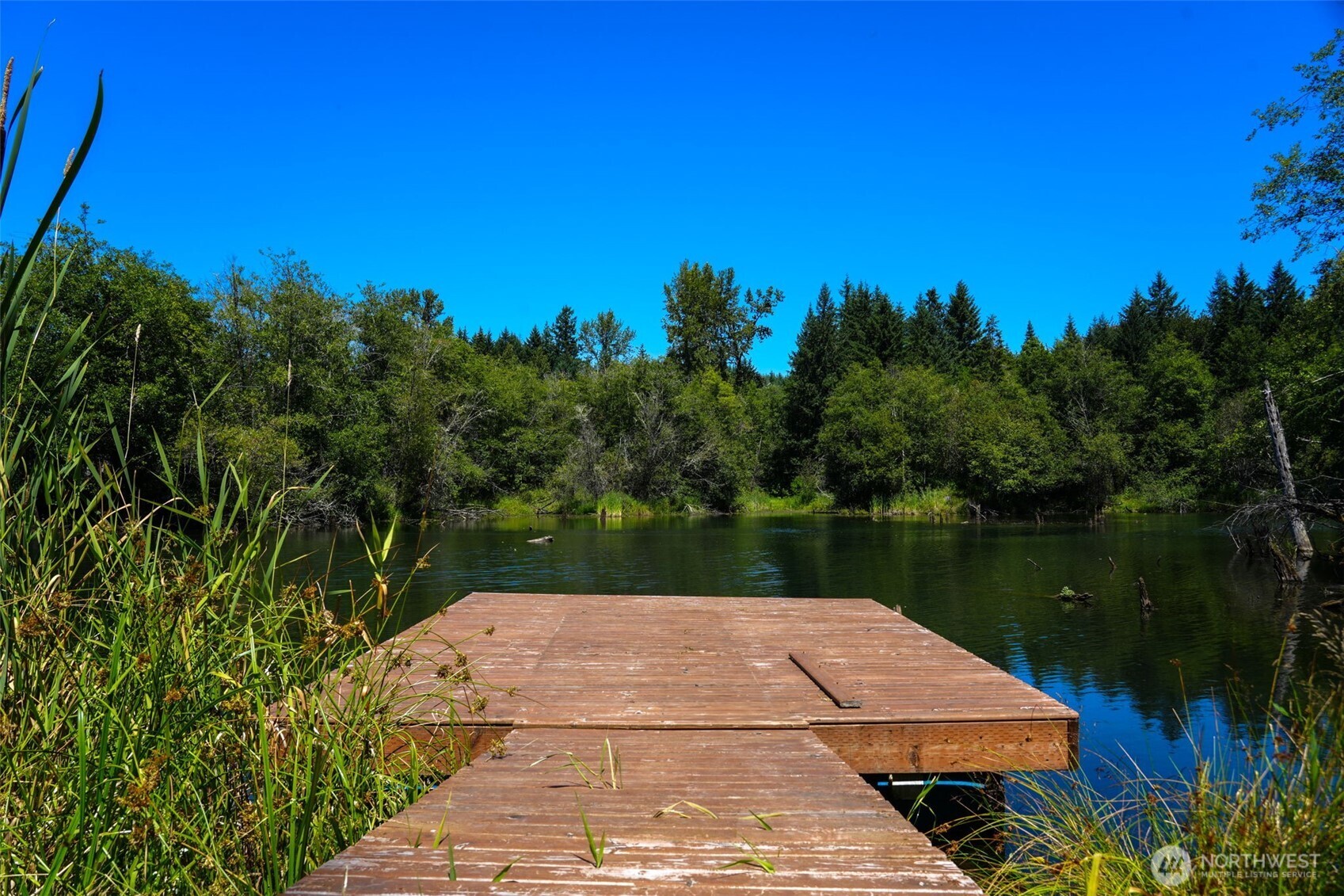 21500 Tono Road Southeast Centralia, WA 98531 - Photo 36 of 39