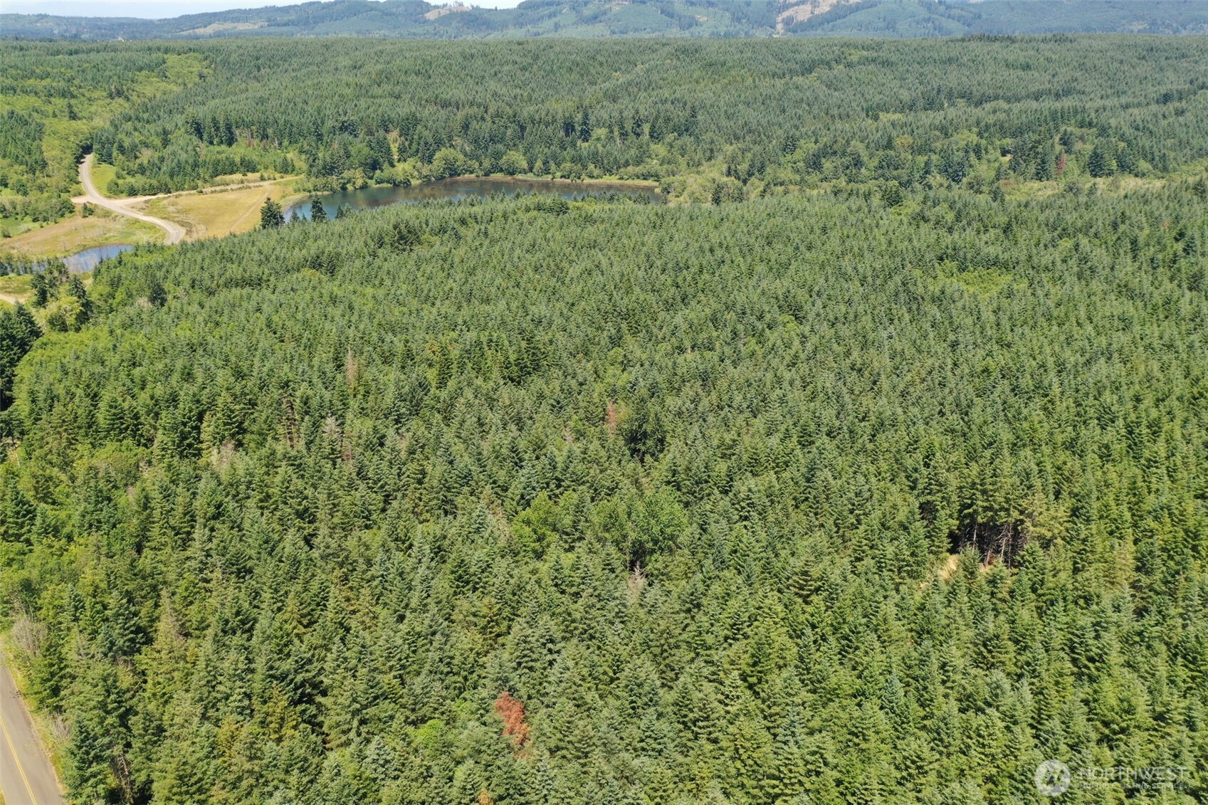 21500 Tono Road Southeast Centralia, WA 98531 - Photo 4 of 39